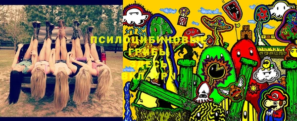 гашик Покров