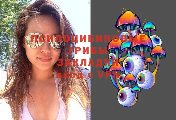 гашик Покров