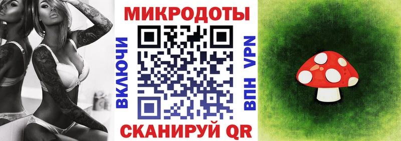 OMG   Новочеркасск  Галлюциногенные грибы GOLDEN TEACHER 